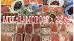 ЗАМОРОЗКА овощей и фруктов на зиму/Обзор моей заморозки