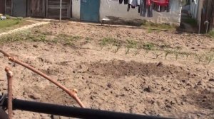 Опоры под виноград