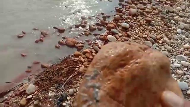 Penemuan Viral, Hamparan Sejuta Batu Fosil, Bongkahan Batu Mulia, Treasure Hunter смотреть онлайн