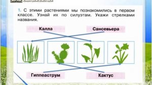 Задание 1 Комнатные растения - Окружающий мир 2 класс (Плешаков А.А.) 1 часть