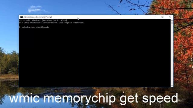 How to Check RAM Speed in Windows 10 смотреть онлайн