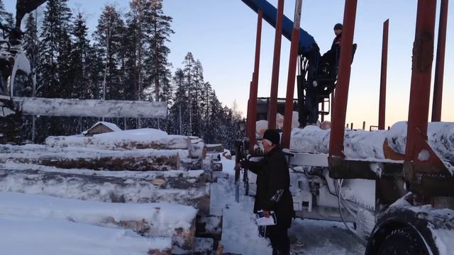 Заготовка сухарника