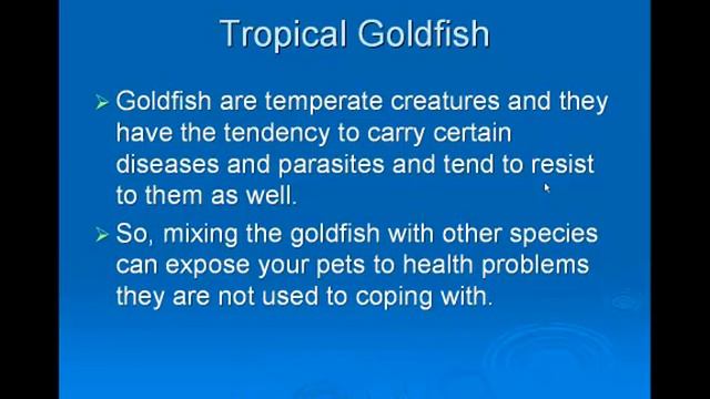 Tropical Goldfish смотреть онлайн
