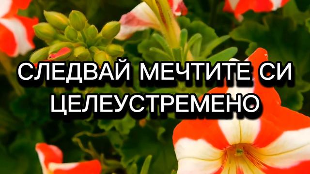 Поздрав Специално за Теб! Честит Рожден Ден!