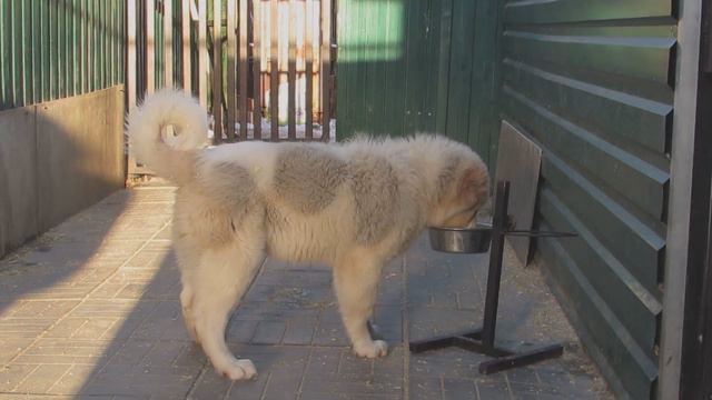 MVI 0807 смотреть онлайн