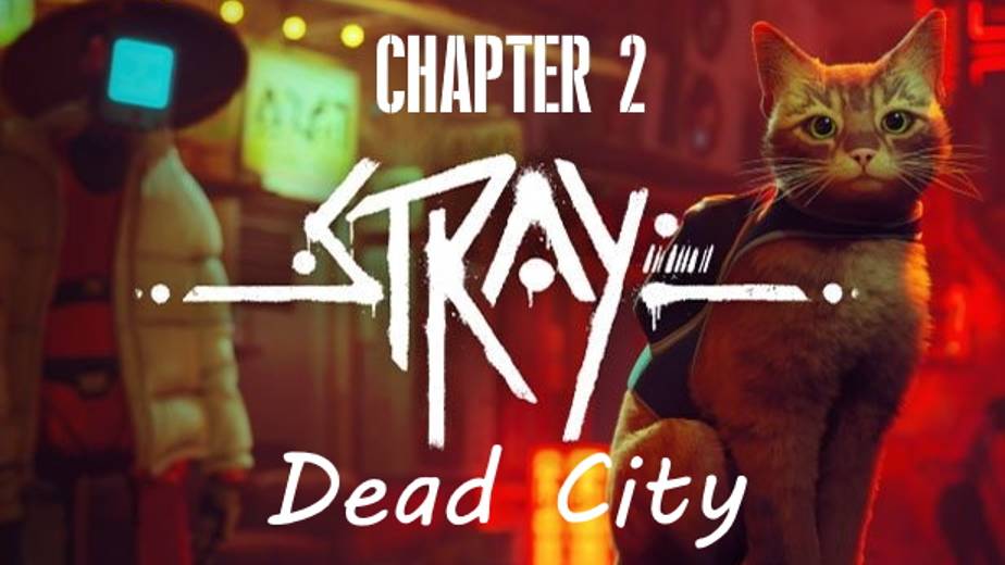 Stray Gameplay 4K UHD. Chapter 2: Dead City