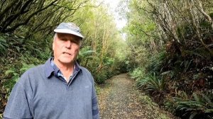 Nugget Point to Te Anau (New Zealand)