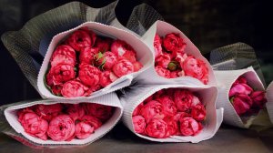 Роза, сорт Juliet, 52 см • Плантация Decofresh Roses • Кения