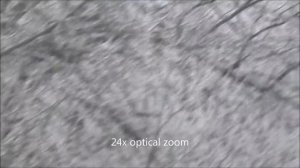 Olympus SZ-14 camera test with sample photos and video