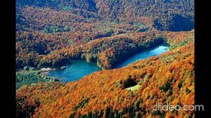 4. Аудио урок для взрослых дифференциация звук Р - Рь.