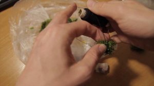 Как примотать Риччию к камням. Зеленые кочки в аквариуме. Эксперимент