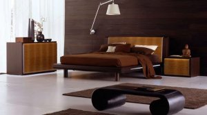 Modern Contemporary Style Furniture for Home