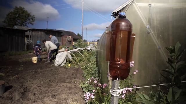 Жешарт картошка 31 08 19 смотреть онлайн