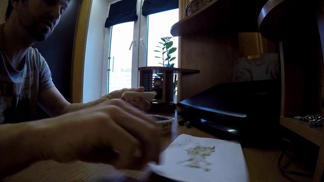 Как вырастить картофель из семян?2020 год-заготовка семян картофеля и посадка семян картофеля.День смотреть онлайн