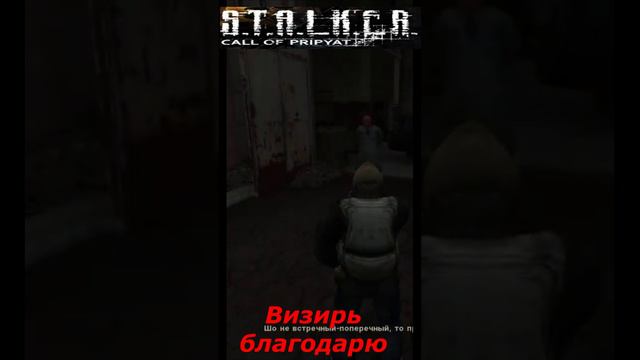 #shorts #S.T.A.L.K.E.R #НАРЕЗКА # ПРИКОЛ # Визирь благодарю