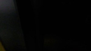 Электрический лифт ЩЛЗ с музыкой 400 кг (113)