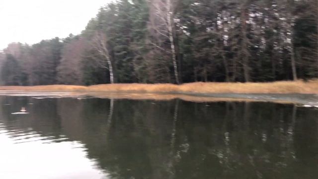 ЛОВЛЯ ЩУКИ НА КРУЖКИ. Закрытие сезона рыбалки 2019 Озеро Паперня смотреть онлайн