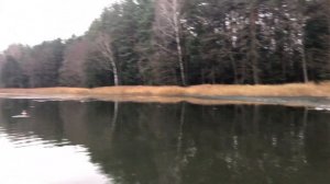 ЛОВЛЯ ЩУКИ НА КРУЖКИ. Закрытие сезона рыбалки 2019 Озеро Паперня