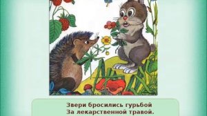 «Зелёная аптека»