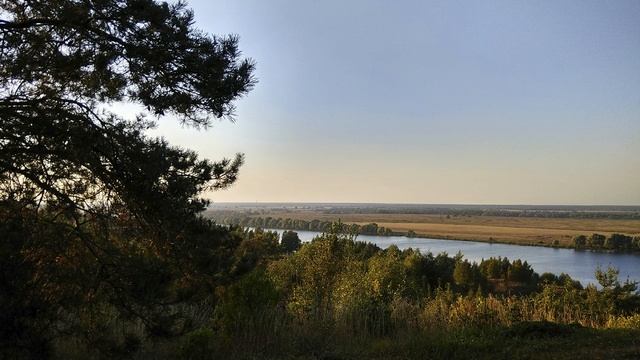 Страдания на гармони (полная аудио версия) смотреть онлайн