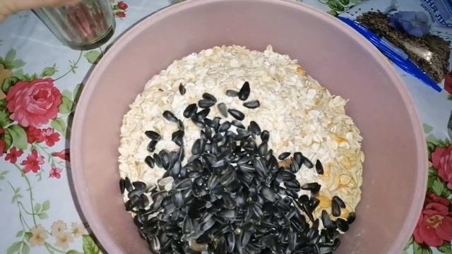 Как сделать зерновой корм для шиншиллы