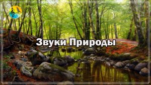 Медитация Во Сне ? Нежный шум горной реки в весеннем лесу ✦ звуки природы для отдыха ? Relaxing