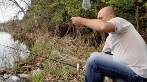 с. Недайвода 25.04.15. Маленький карасик поплыл обратно