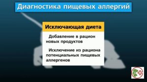 Диагностика пищевой аллергии у собак и кошек