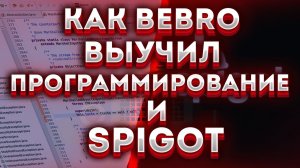 КАК Я ВЫУЧИЛ ПРОГРАММИРОВАНИЕ (SPIGOT)