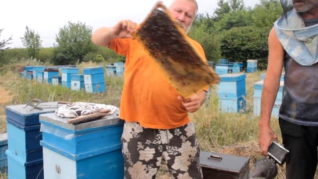 Качка как В СТАРЫЕ ДОБРЫЕ ВРЕМЕНА. Пчеловодство 2020. Пчеловодство для начинающих