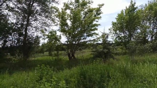 25 июня народный праздник ПЕТР СОЛНЦЕВОРОТ . народные приметы и поверья