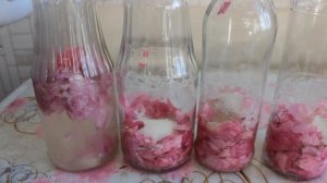 Напиток из Чайных Роз на Зиму!!! Rose Water ???Лучший летний напиток!
