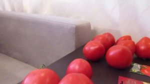 Дегустация томата Сирано и Розовый спам.07.09.2019