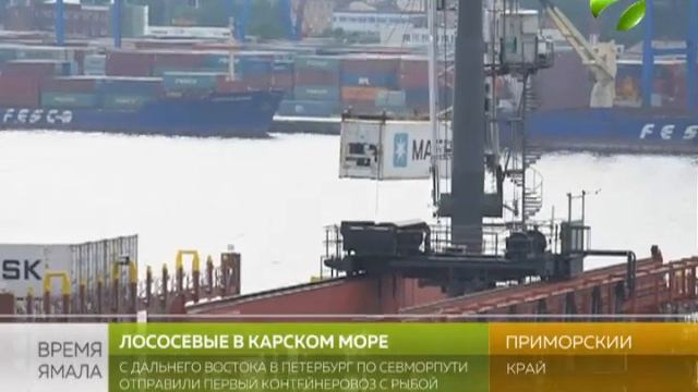 Красная рыба в Карском море. Пробный рейс по Севморпути