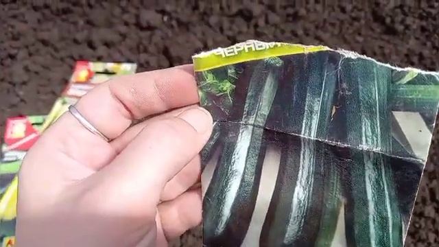 Навожу порядок в теплице, сею огурцы.?