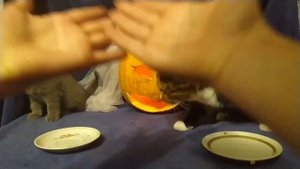 Самая страшная ночь в году 👻👻Как мы празновали Хеллоуин 🎃🎉#хелоин