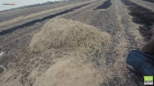 ОХОТА НА УТОК НА РИСОВЫХ ПОЛЯХ 2017