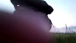 Классический манок на перепела