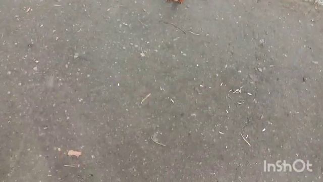 Сегодня уезжаем домой/Санаторий Колос смотреть онлайн