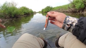 ВОБЛЕРЫ или ВЕРТУШКИ, КТО КОГО?! Ловля щуки на спиннинг на малой реке! Рыбалка 2022 в Казахстане!
