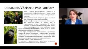 Кто считается автором: тот, кто придумал или кто сделал?