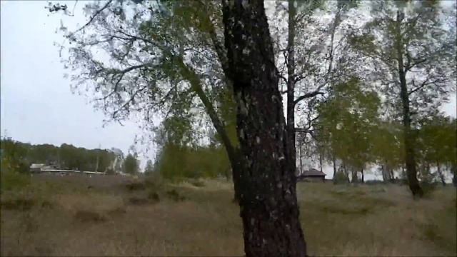 Удачный коп на территории одной деревушки. смотреть онлайн