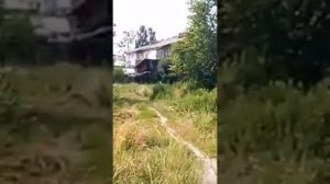 Нижняя Пойма, Красноярский край