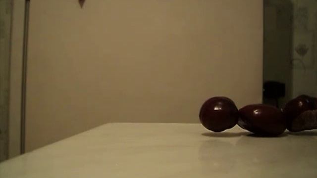 Как сделать гусеницу из каштанов?