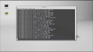 Install Apache OpenOffice 4.1.0 in Linux Mint 16 (Ubuntu)