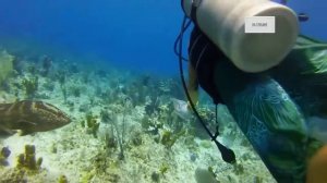 На глубине — Как устроен мир с Тимофеем Баженовым