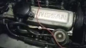 nissan sunny diesel cd17