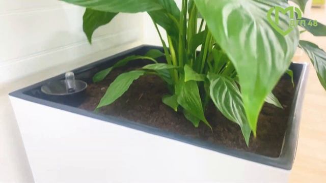 Открытие 1 филиала ДГП 48 смотреть онлайн