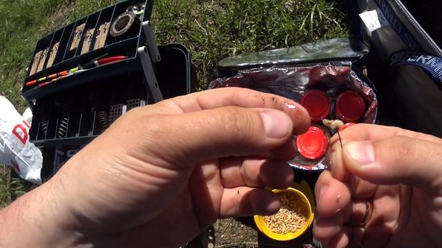 Рыбалка на озеро Торбеево! Хорошее место для рыбалки в Московской области Прикорм от Снасти Здраст смотреть онлайн