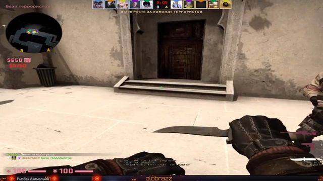 Стрим CS:GO/ШКРЕБУ К ГЛОБАЛУ/ЗАХОДИ ДРУГ) смотреть онлайн